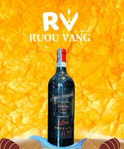ruou-vang-appassimento-gattone